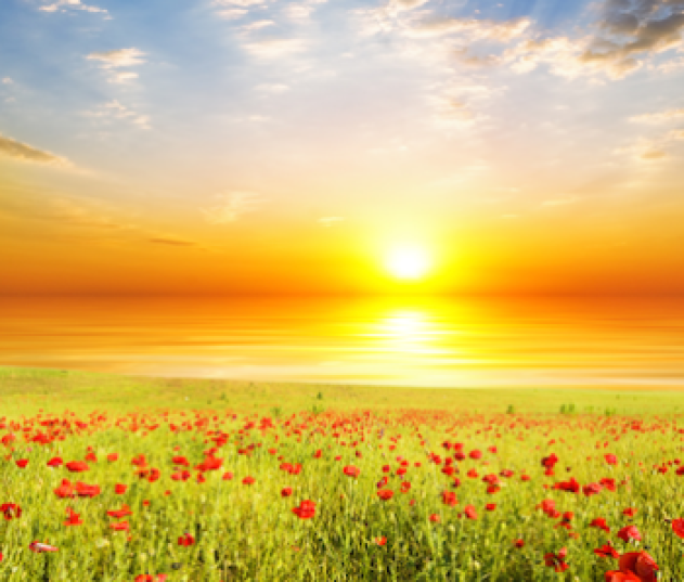 Sunrise
