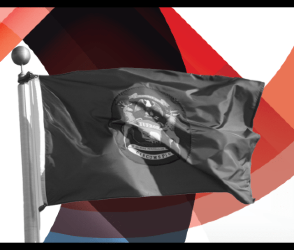 Michigan flag - HW+
