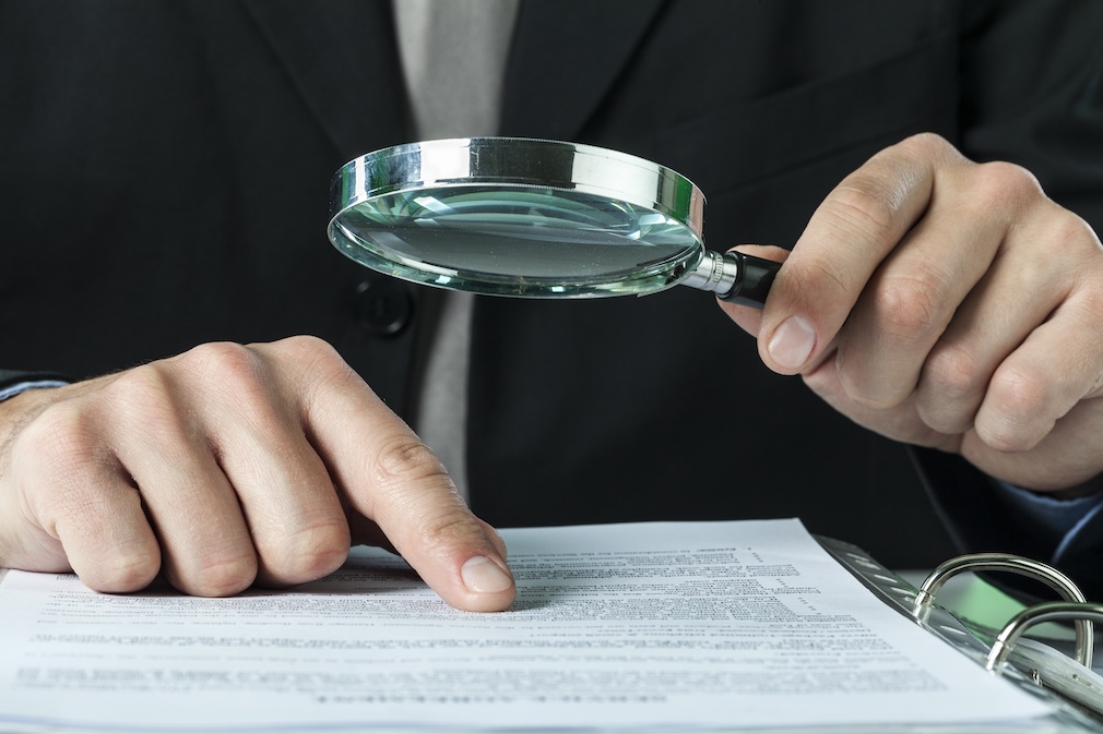 Fraud, audit, auditor.