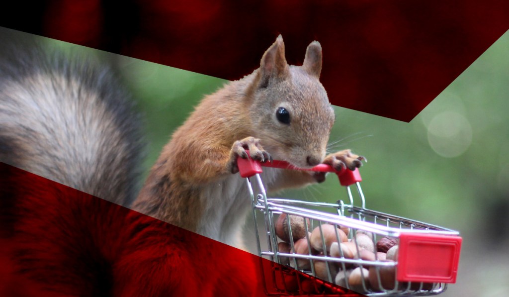 squirrel_nuts