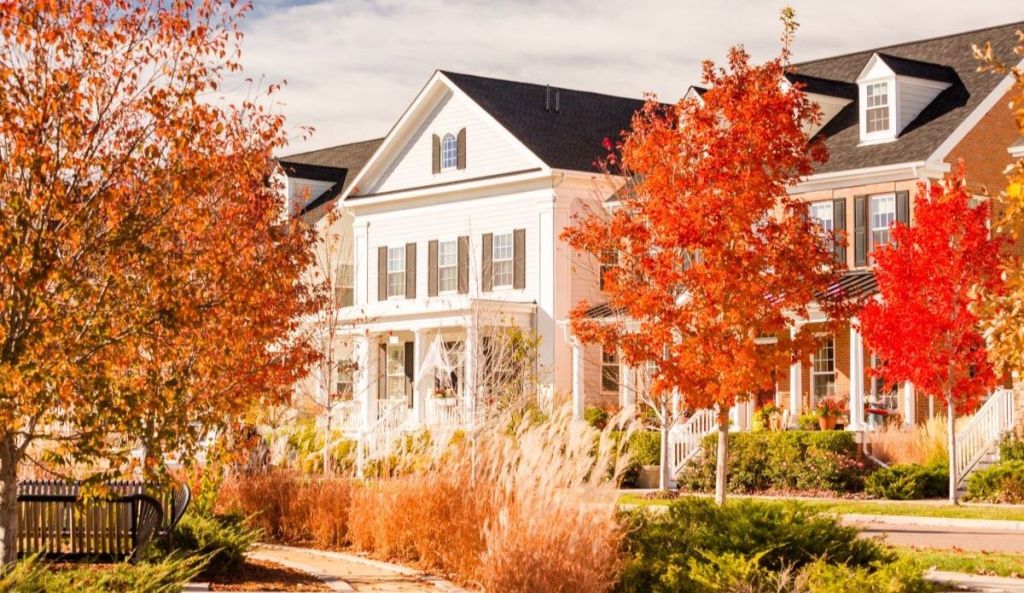 Houses-Individual, Seasonal 5
