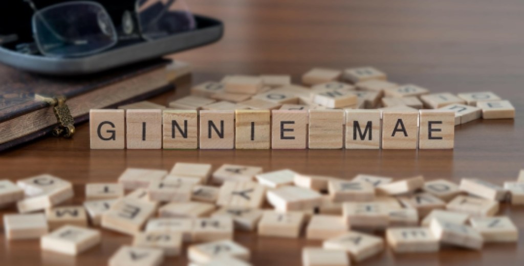 ginnie mae word or concept represented by wooden letter tiles on a wooden table with glasses and a book
