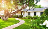 HousingWire-Home-with-Tree