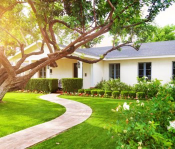 HousingWire-Home-with-Tree