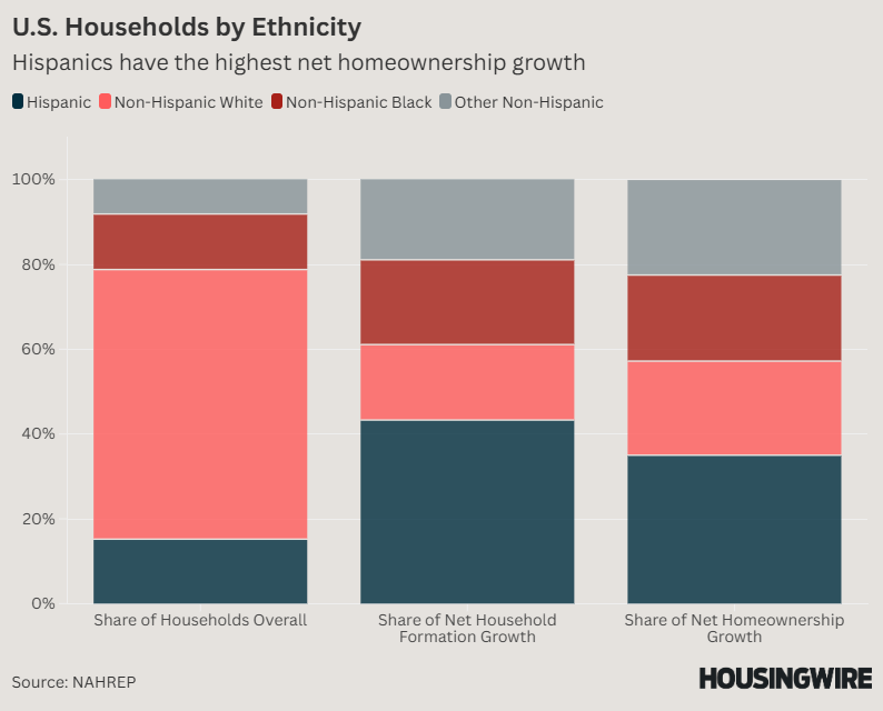 Household demographics by ethnicity