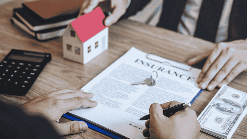 Contributor's Piece (42)
