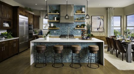 Berkeley-Back-Country_Res-02_Kitchen-1_o