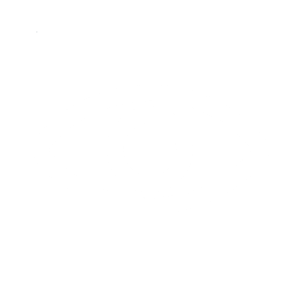 Eye icon white