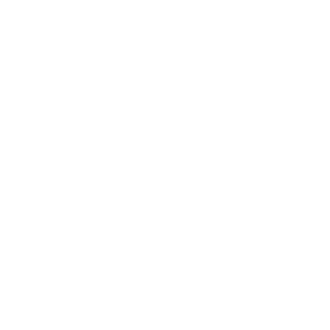 bolt icon white