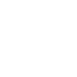 buildings icon white