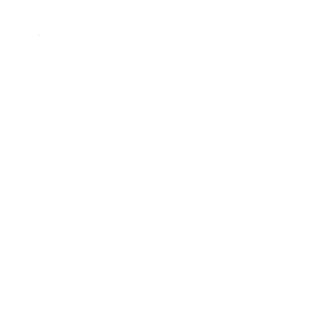 chart-column icon white