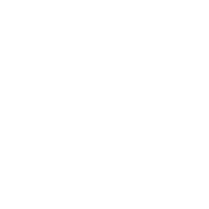 dollar icon white