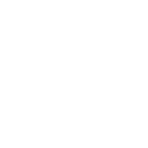 house icon white